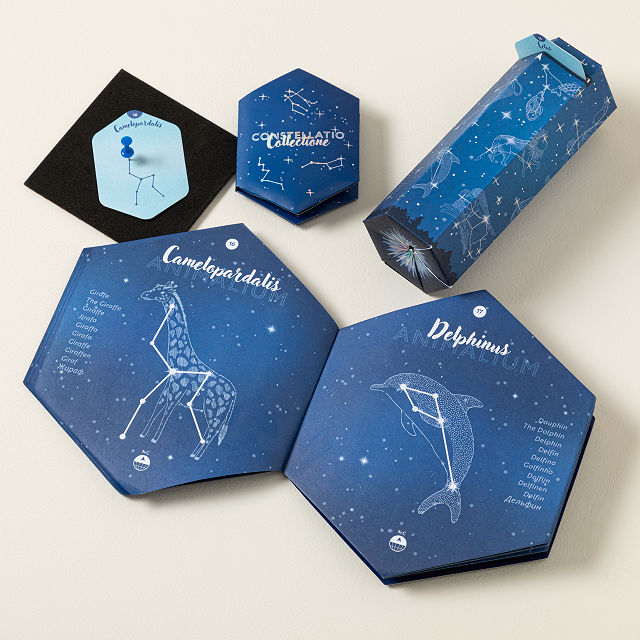 DIY Constellation Viewer