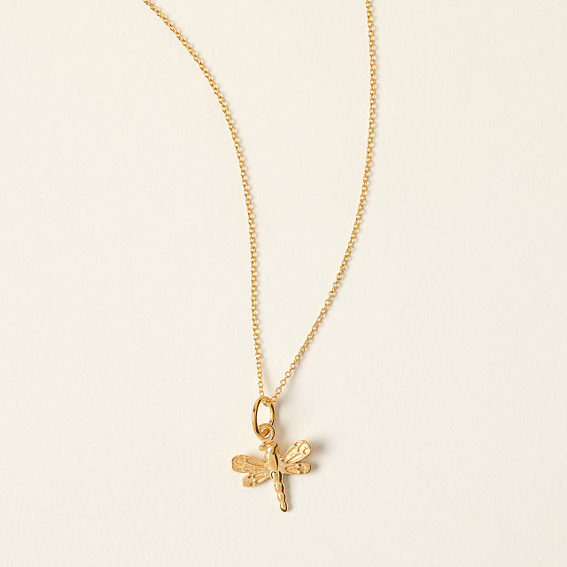 Dragonfly for Change Necklace