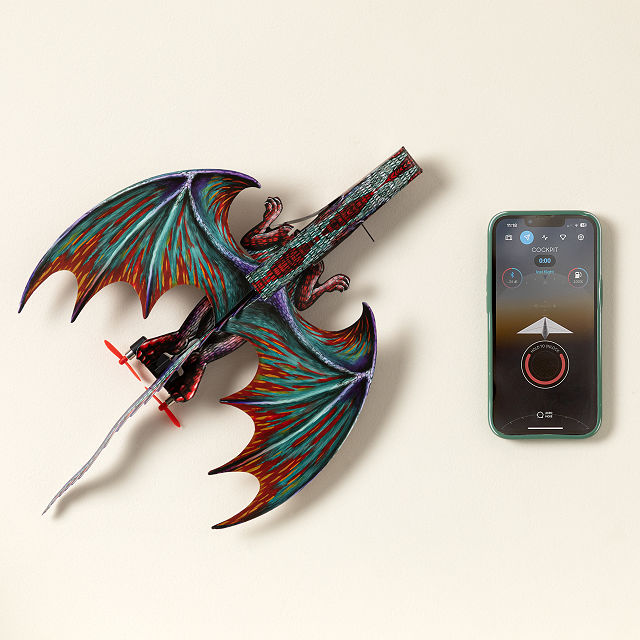 2510-smartphone-controlled-dragon-airplane-1.jpg