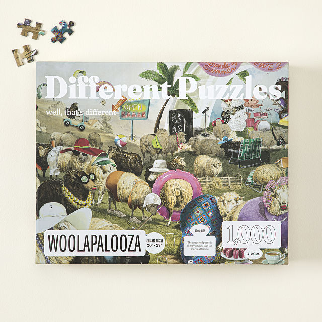 2527-woolaplooza-trick-puzzle-1.jpg