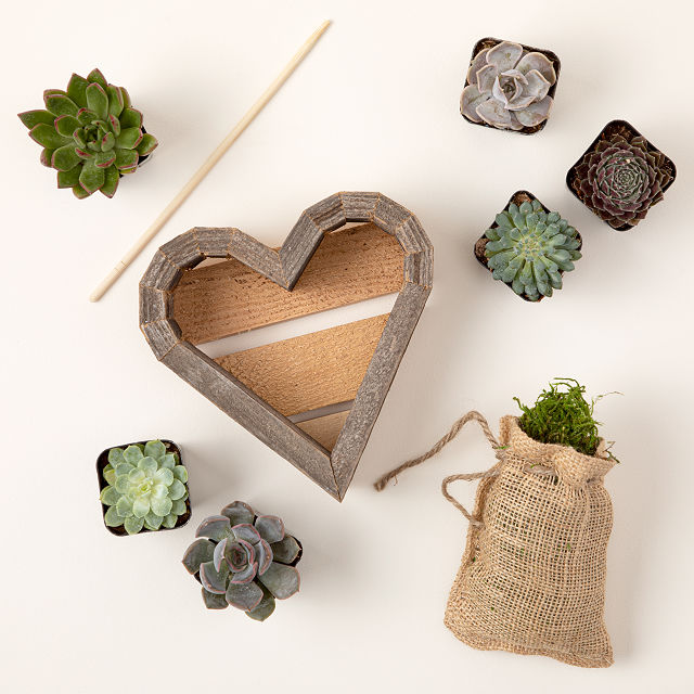 254-redwood-succulent-heart-kit-1.jpg