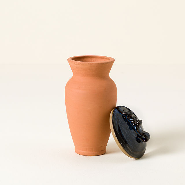 2590-self-watering-terracotta-olla-1.jpg
