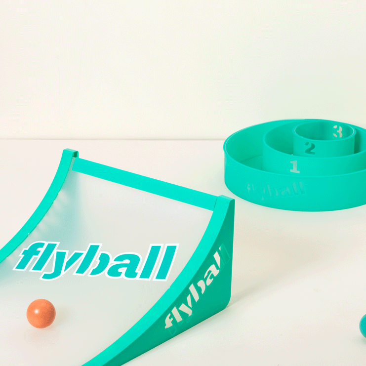Flyball Lawn and Beach Game
