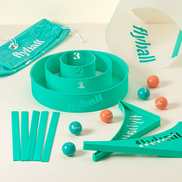 262-flyball-lawn-and-beach-game-1.jpg