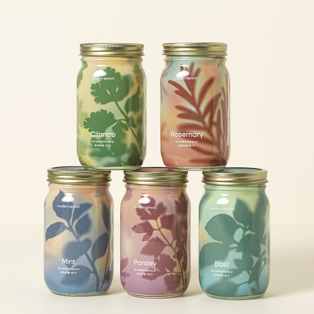 2632-mason-jar-indoor-herb-garden-1.jpg