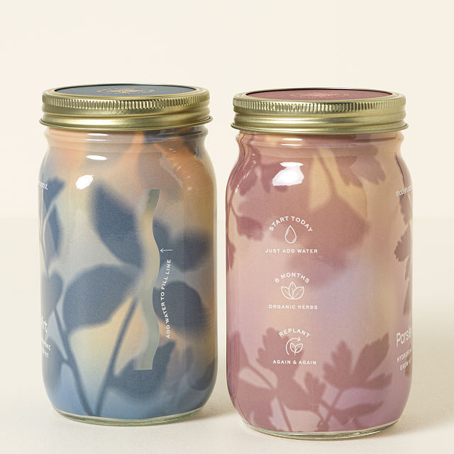 2632-mason-jar-indoor-herb-garden-1.jpg