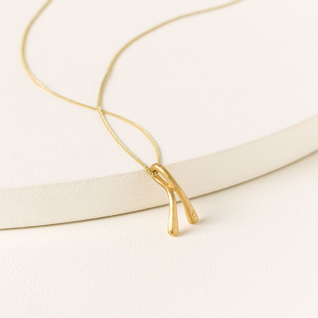 2653-wishbone-necklace-1.jpg