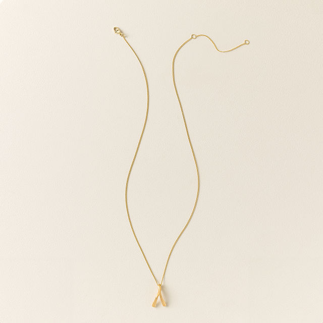 2653-wishbone-necklace-1.jpg