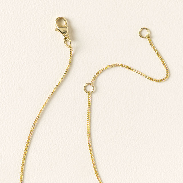 2653-wishbone-necklace-1.jpg