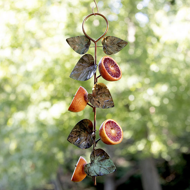 2657-birdie-fruit-feeder-1.jpg
