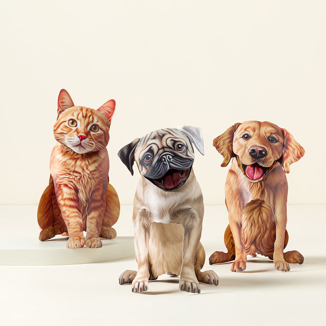 2738-dress-your-furry-friends-pop-up-greeting-card-1.jpg