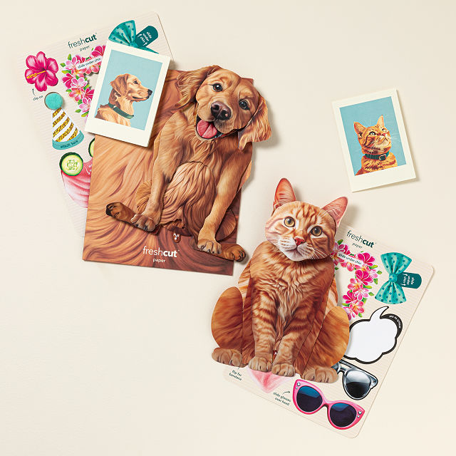 2738-dress-your-furry-friends-pop-up-greeting-card-1.jpg