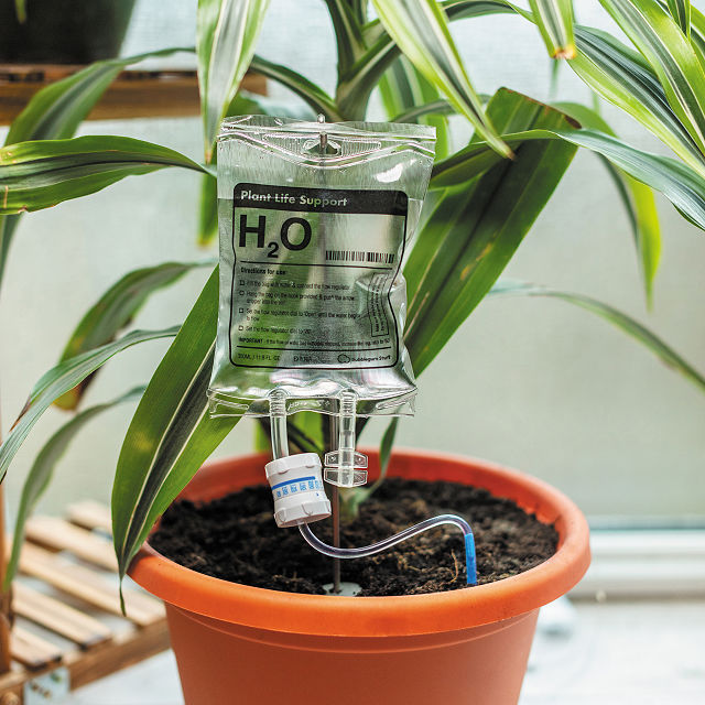 2744-plant-life-support-self-waterer-1.jpg