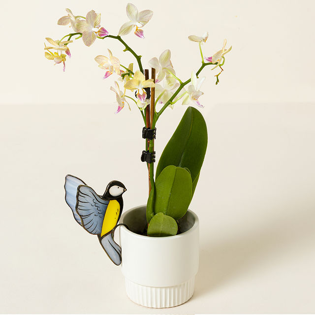 2803-glass-songbird-pot-hugger-1.jpg