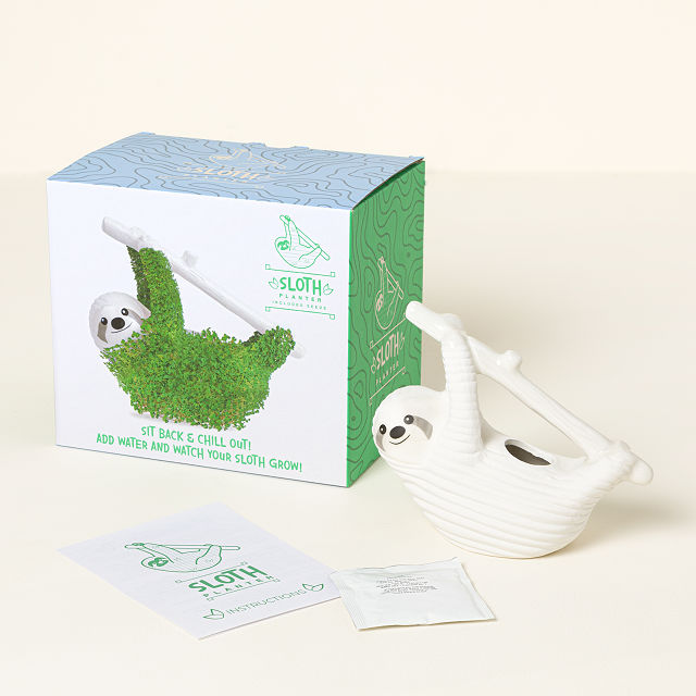 2805-chia-pal-grow-kit-1.jpg