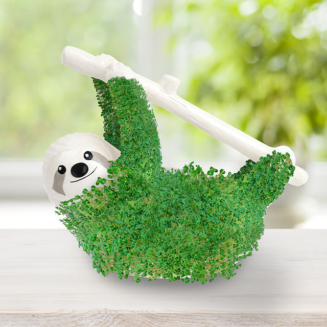 2805-chia-pal-grow-kit-1.jpg