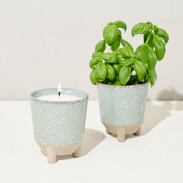 2871-glow-grow-candle-grow-kit-1.jpg