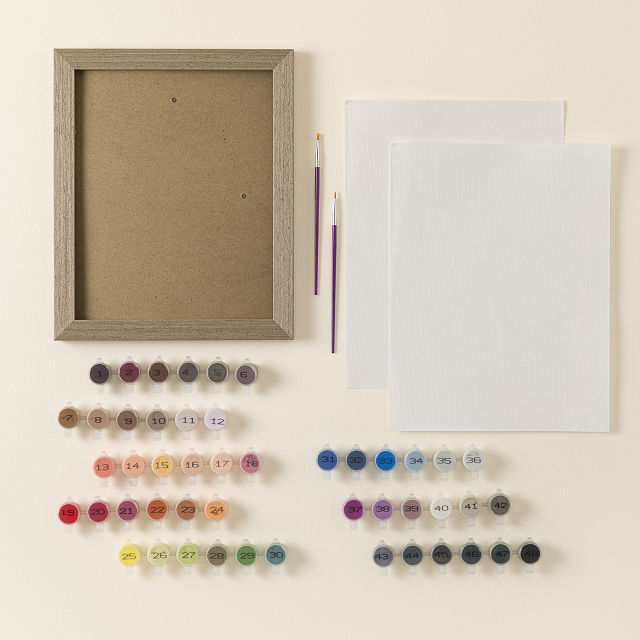 2895-paint-by-numbers-framed-portrait-kit-1.jpg