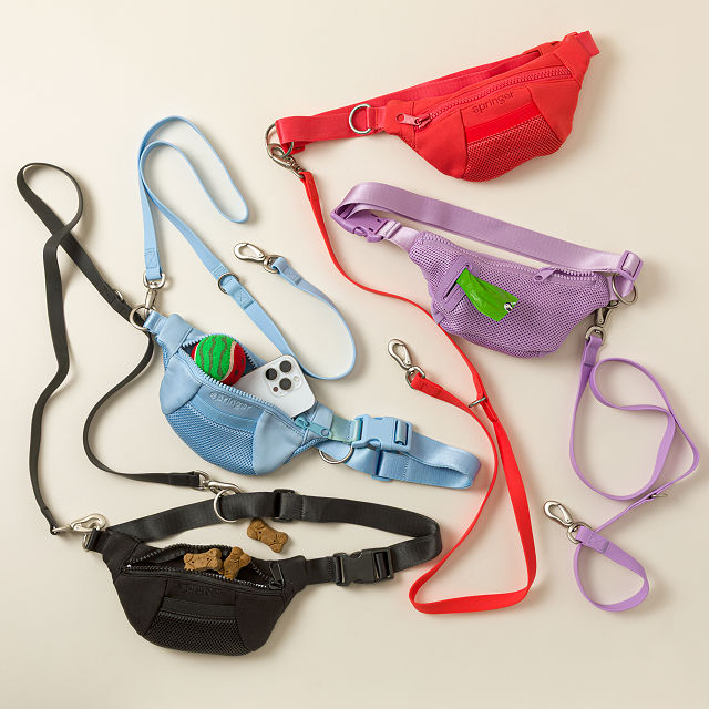 4-in-1 Hands-Free Dog Walking LeashÂ Bag