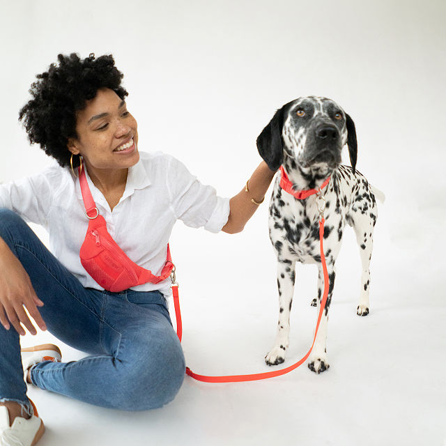 4-in-1 Hands-Free Dog Walking LeashÂ Bag
