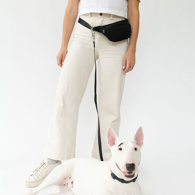 303-4-in-1-hands-free-dog-walking-leash-bag-1.jpg