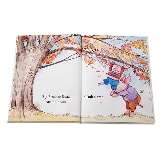 308-personalized-what-big-brother-does-best-book-1.jpg
