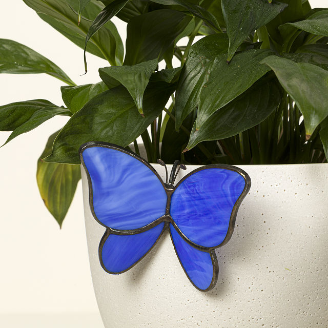 377-stained-glass-plant-buddy-1.jpg