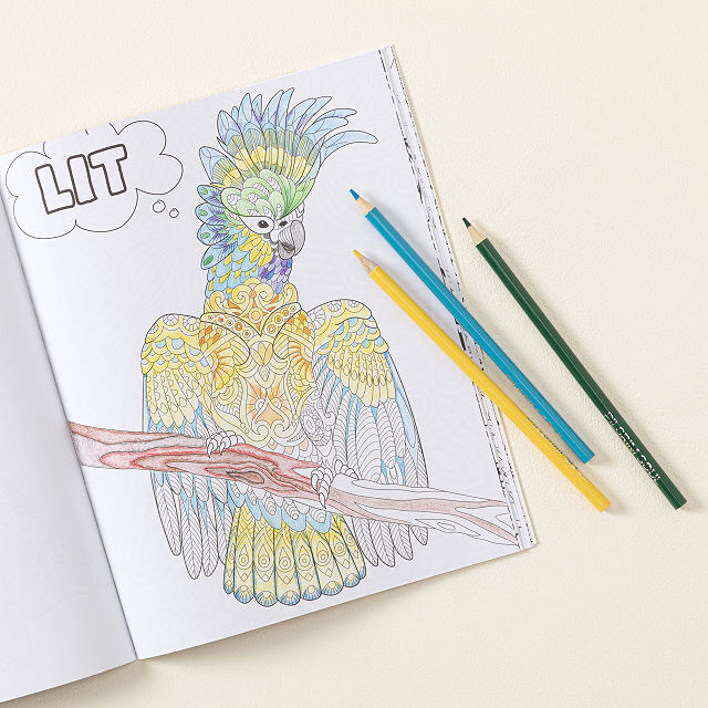 404-creative-thinking-journal-1.jpg