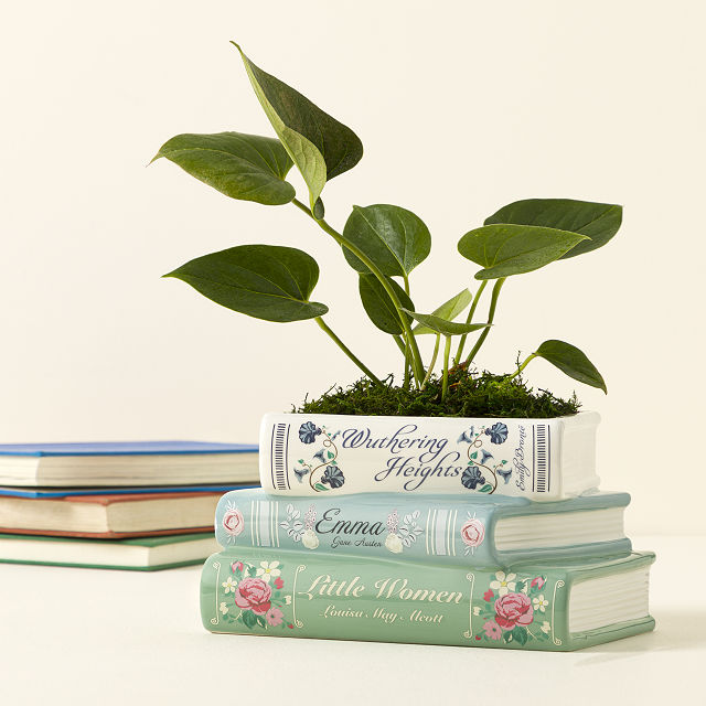 411-novel-garden-planter-1.jpg