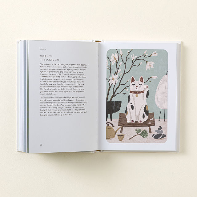 The Cat Year: A Year Of Kitty Companionship