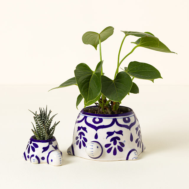 444-hand-painted-turtle-planter-set-1.jpg