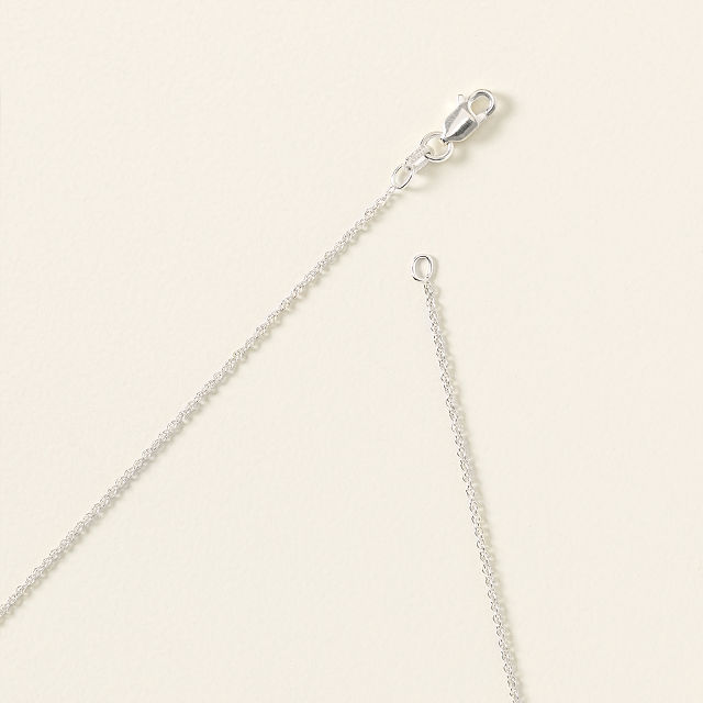 554-cardinal-of-remembrance-necklace-1.jpg