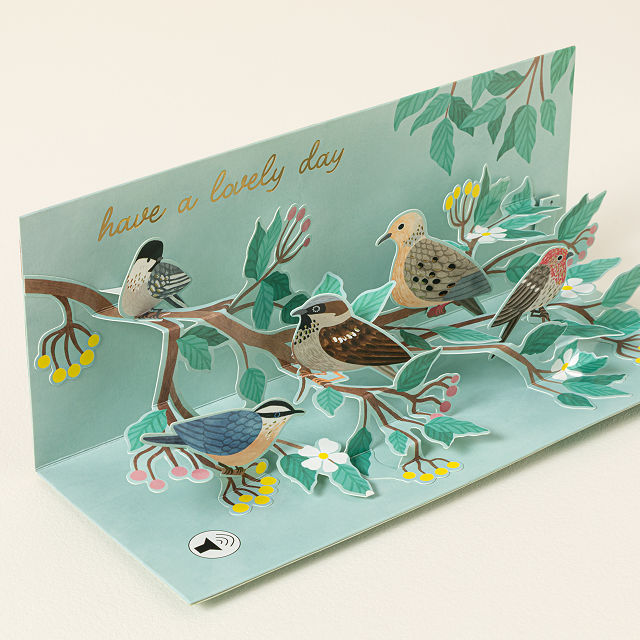 557-bird-song-audio-greeting-card-1.jpg