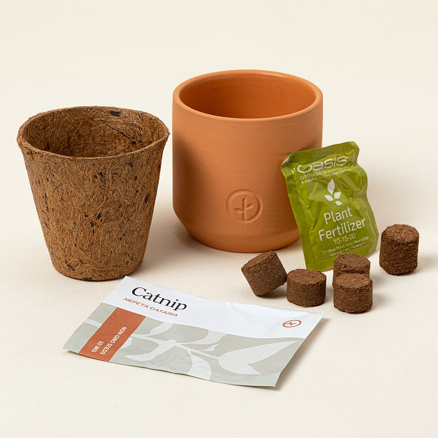 579-catnip-terracotta-grow-kit-1.jpg