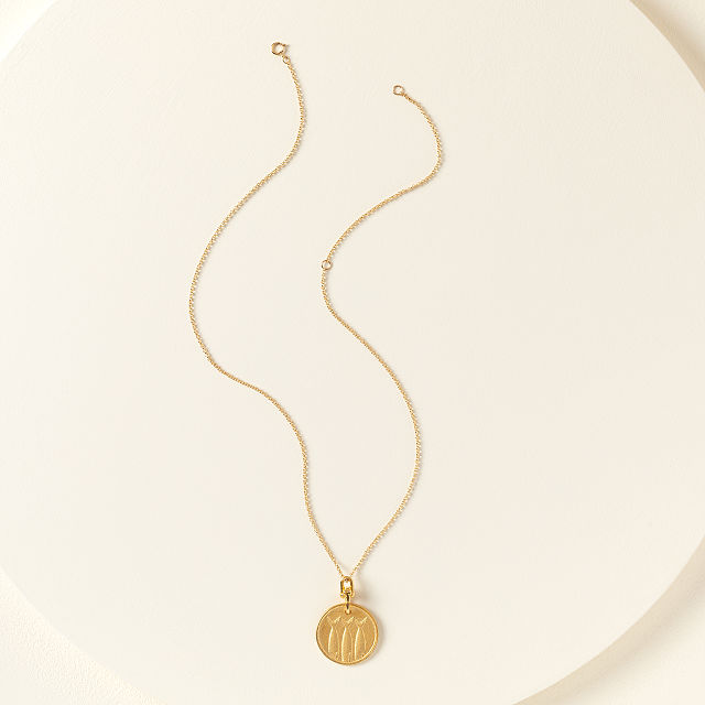 597-heads-or-tails-flippable-necklace-1.jpg