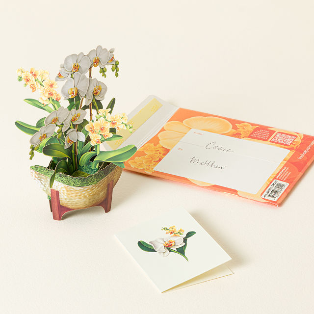 A Year of Flowers Pop-Up Greeting Cards