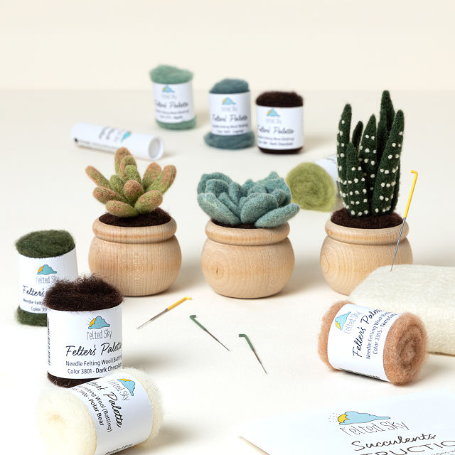 777-diy-potted-succulent-trio-needle-felting-kit-1.jpg