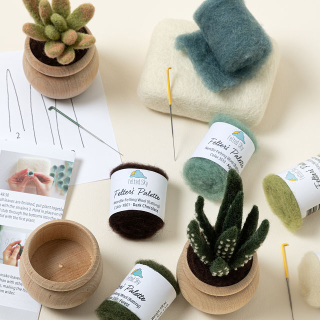 777-diy-potted-succulent-trio-needle-felting-kit-1.jpg