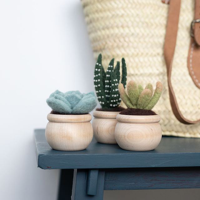 777-diy-potted-succulent-trio-needle-felting-kit-1.jpg