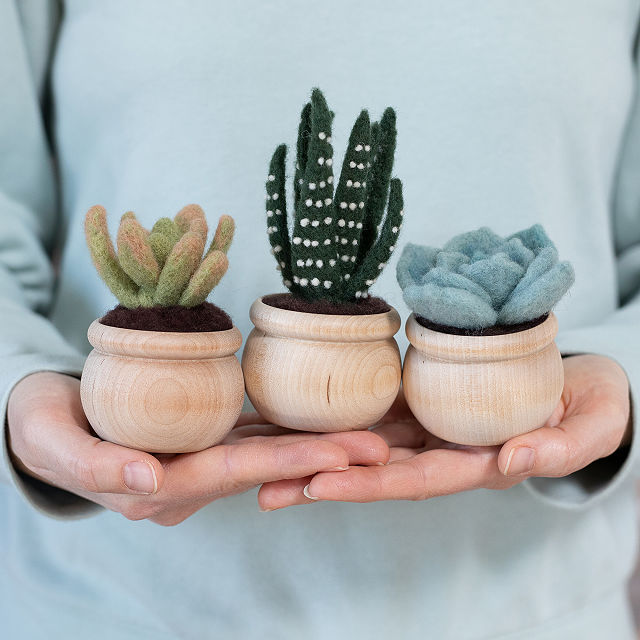777-diy-potted-succulent-trio-needle-felting-kit-1.jpg