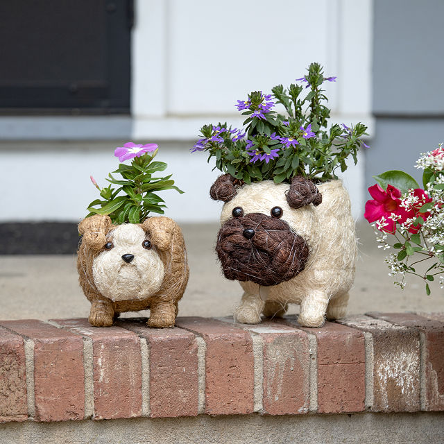 778-coconut-fiber-dog-planter-1.jpg