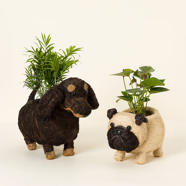 778-coconut-fiber-dog-planter-1.jpg