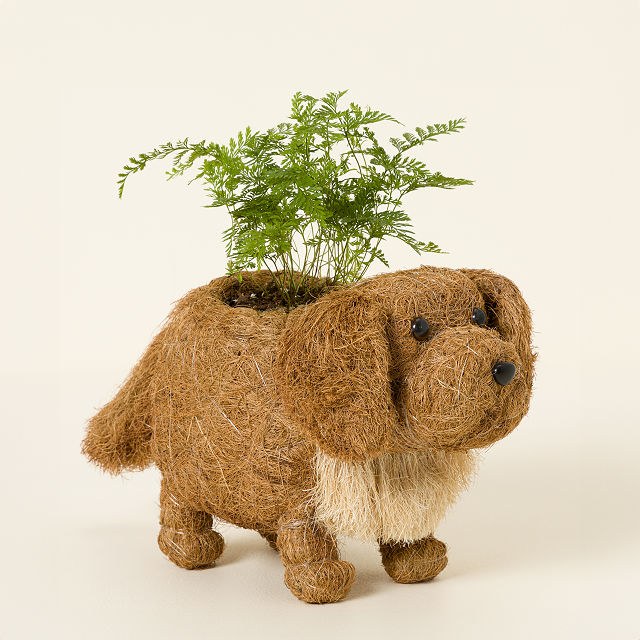 778-coconut-fiber-dog-planter-1.jpg