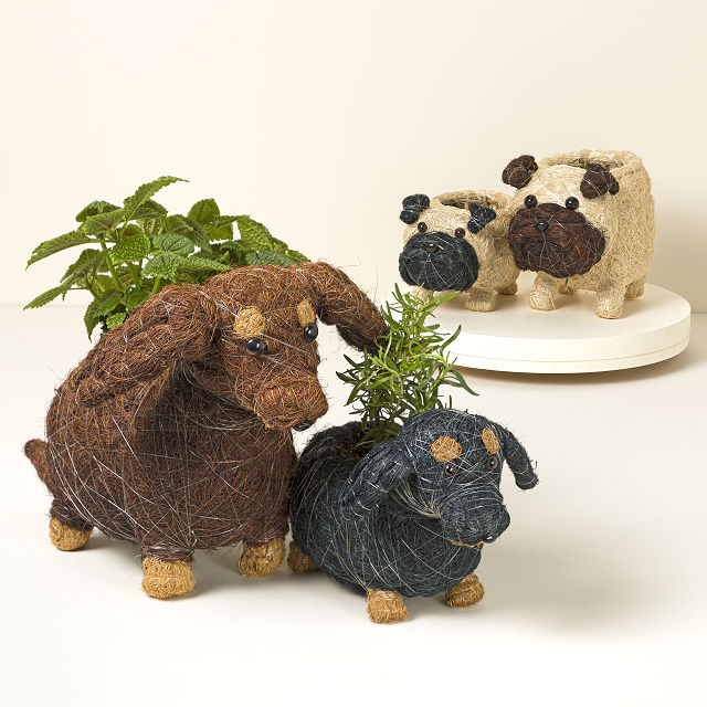 778-coconut-fiber-dog-planter-1.jpg