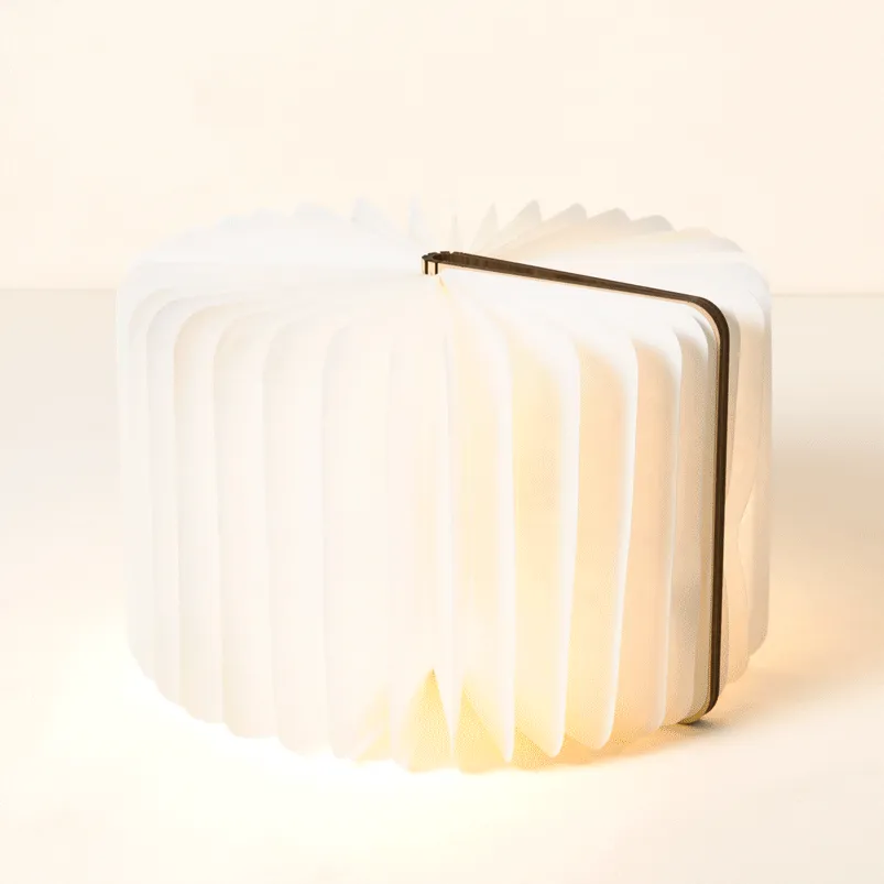 Accordion Book Lamp