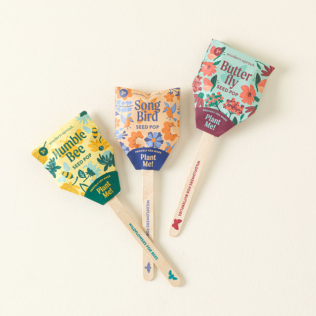 896-pollinator-seed-pops-set-of-3–1.jpg