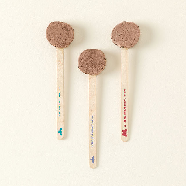 896-pollinator-seed-pops-set-of-3–1.jpg