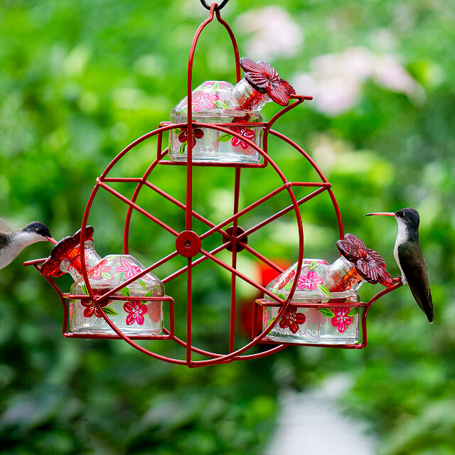 928-ferris-wheel-hummingbird-feeder-1.jpg