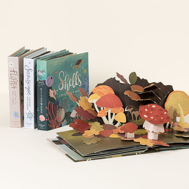 Explore the Four Seasons Pop-Up Books